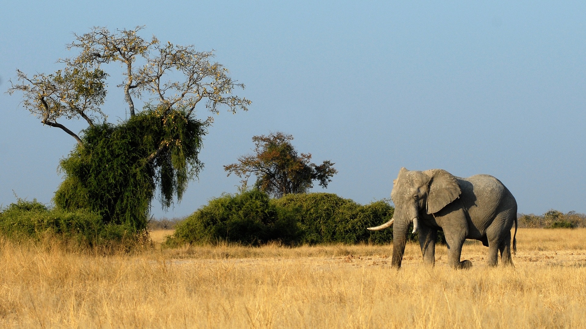 Blog voyage Botswana, Guides et Bons plans - Titiranol, le blog voyage