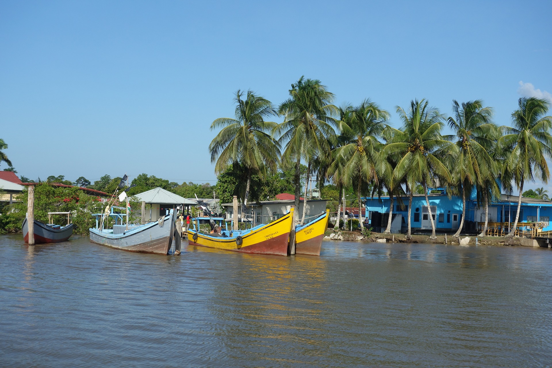 Blog voyage Suriname, Guides et Bons plans Titiranol, le blog voyage